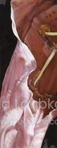 ILLO Loubkova, 2013, Pink Lily