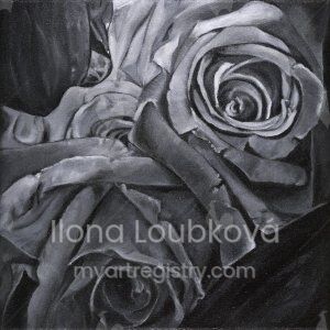 ILLO Loubková, 2014, Black Rose