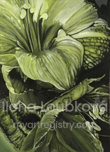 ILLO Loubková, 2014, The Green Variation