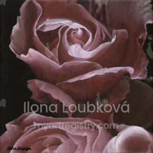 ILLO Loubková, 2014, Rose I.