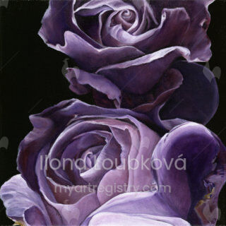 ILLO Loubková, 2014, Purple