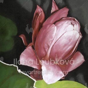 ILLO Loubková, 2010, Blossom of Cactus