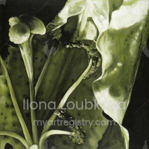 ILLO Loubkova, 2009, Green Lily