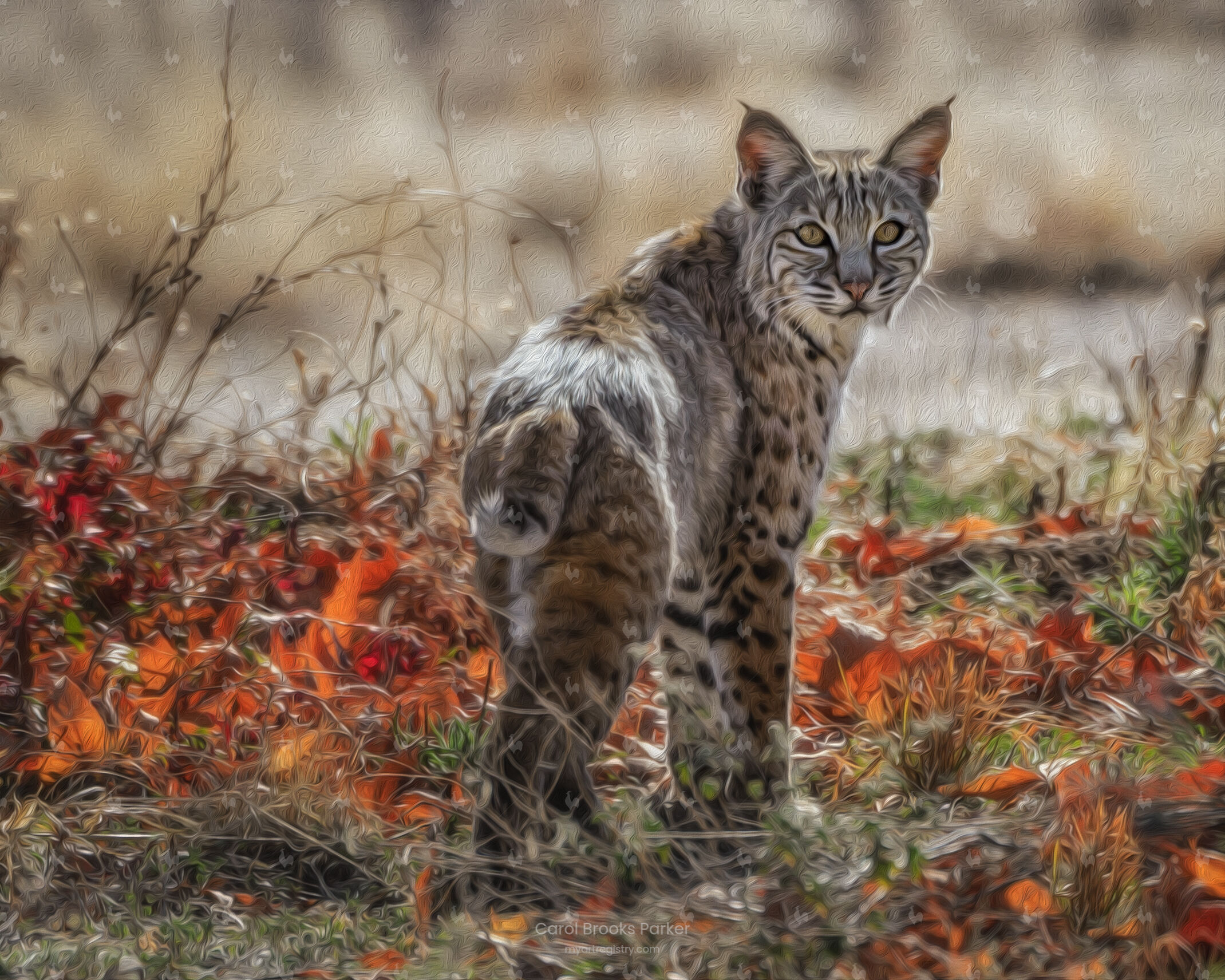 The Bobcat, 2014