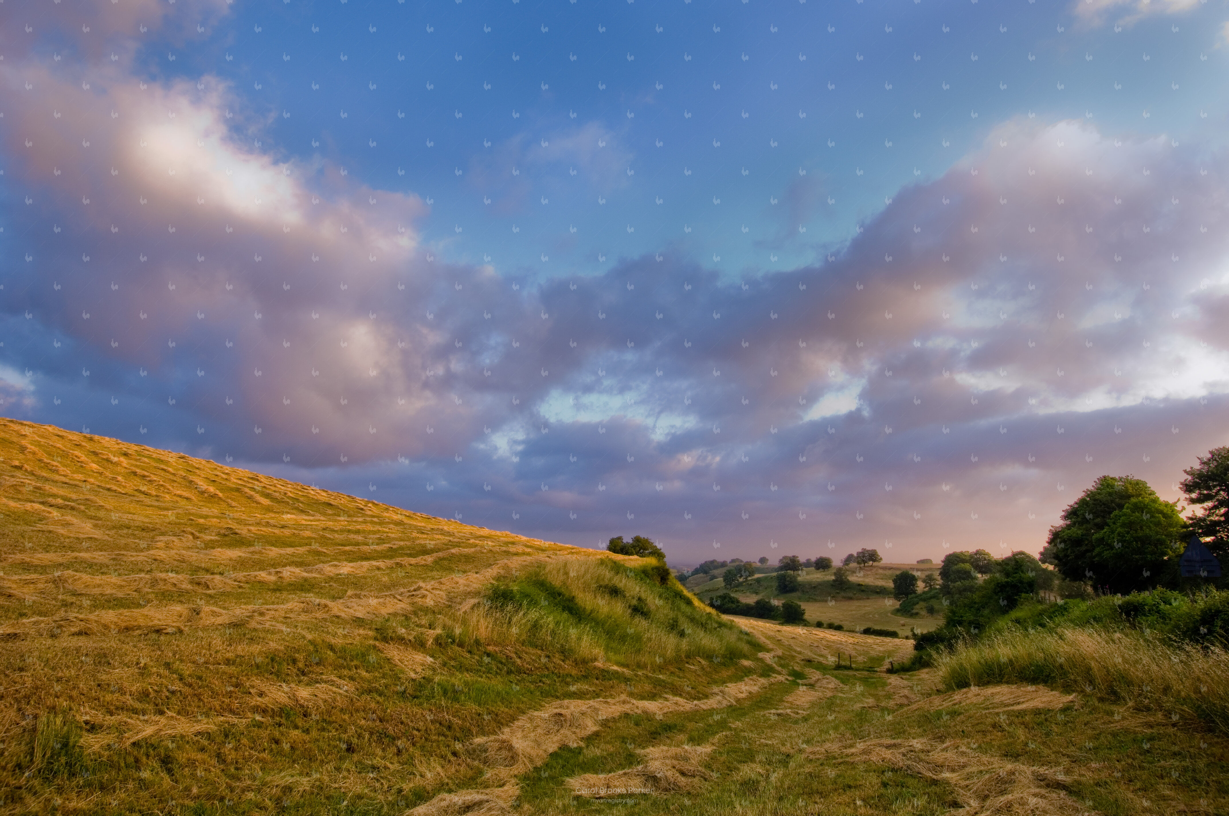 Newly Mown Hayfield at Sunrise, 2006