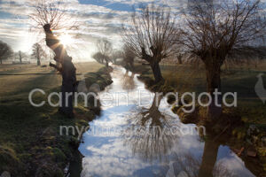 Winter's First Light