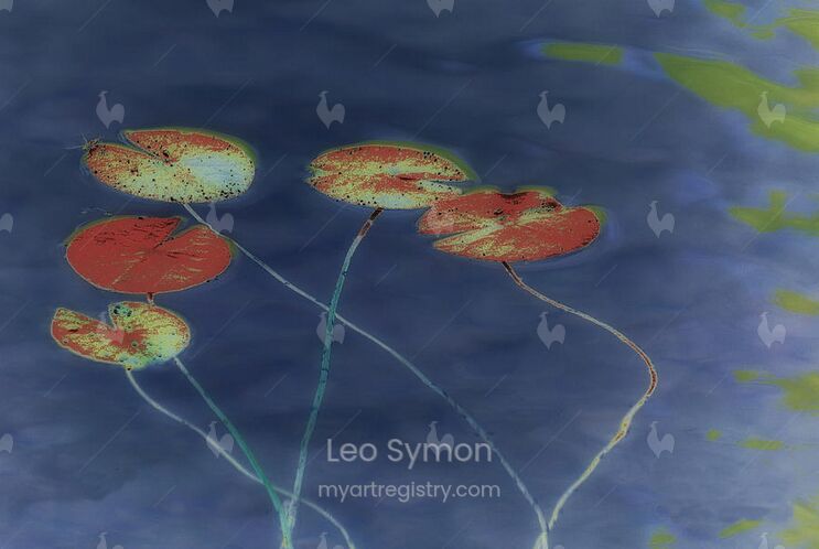 Water Lilies 2