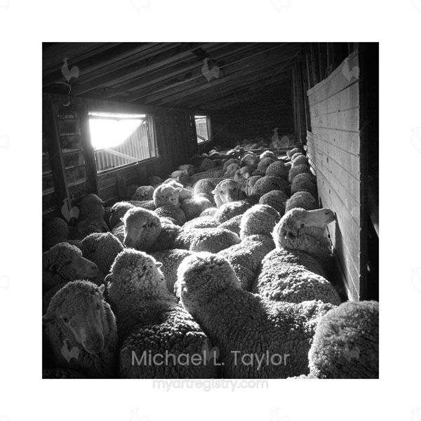 Penned Up