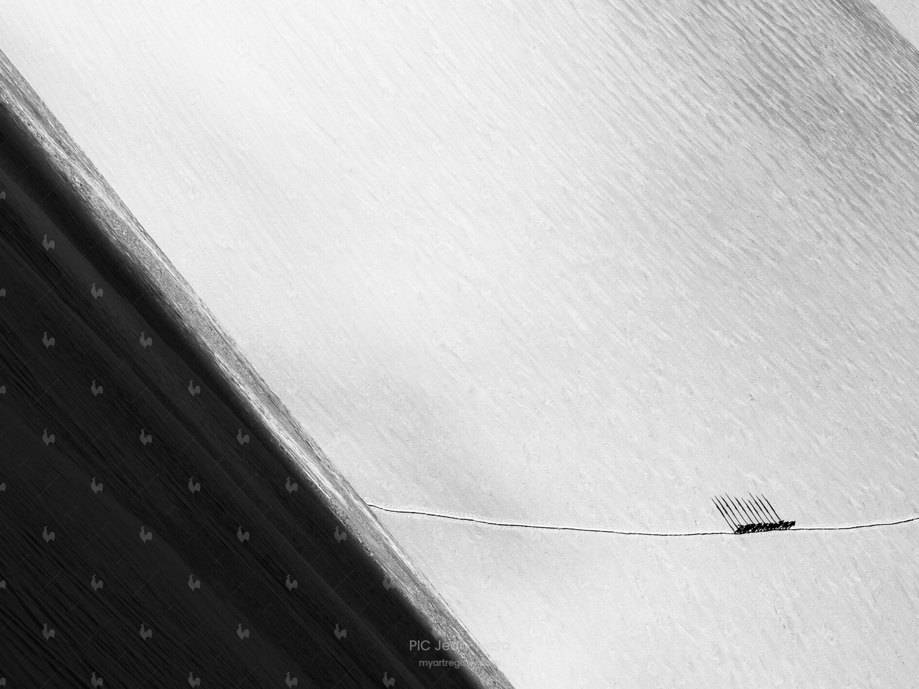 Trace