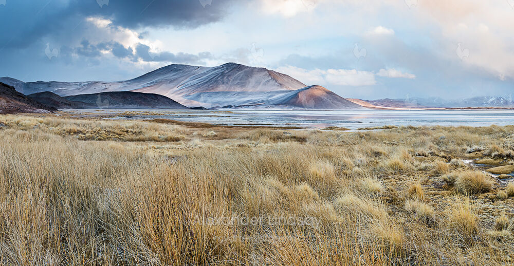 Sharkskin Mountain