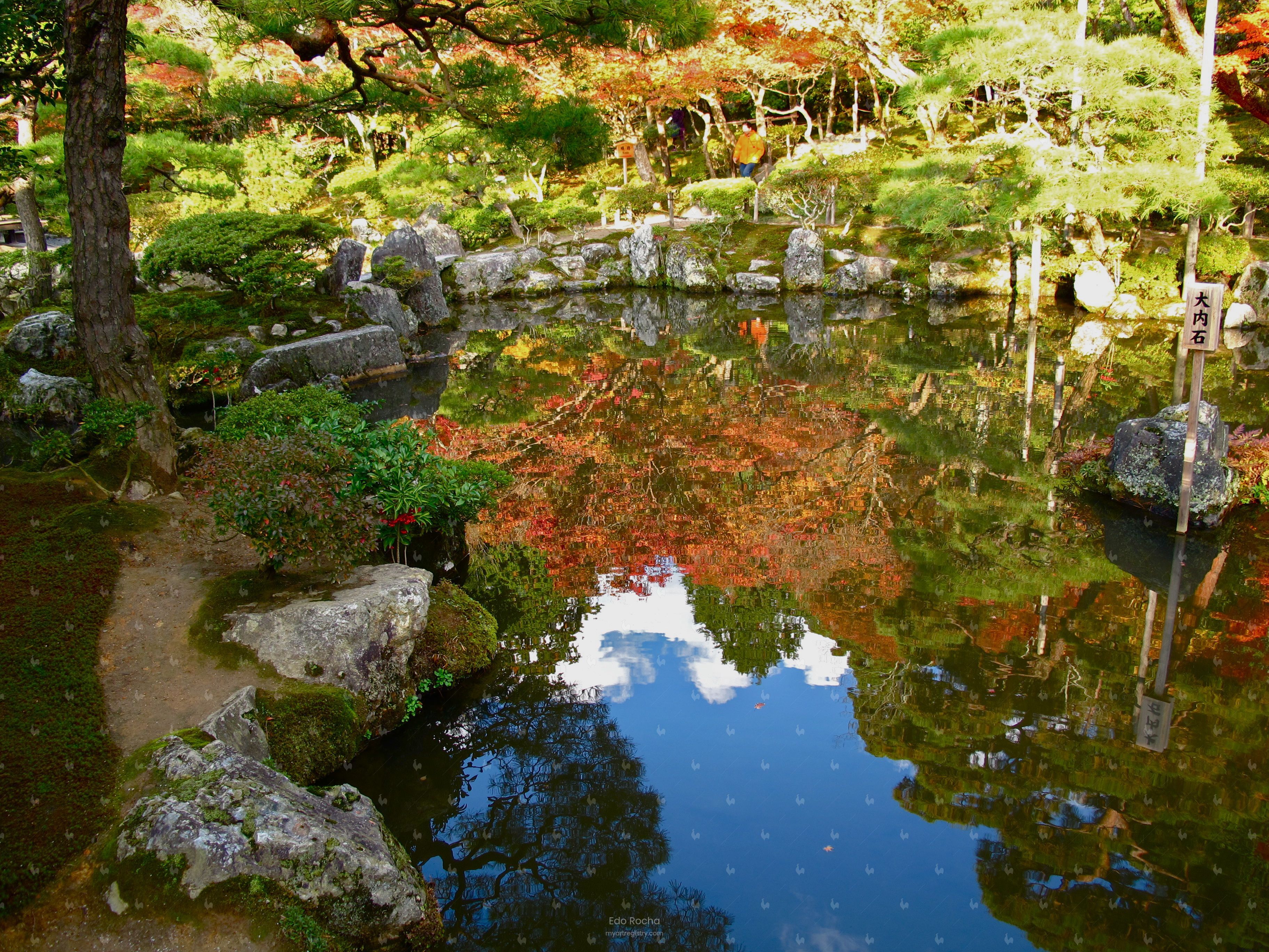 A Lake for You
