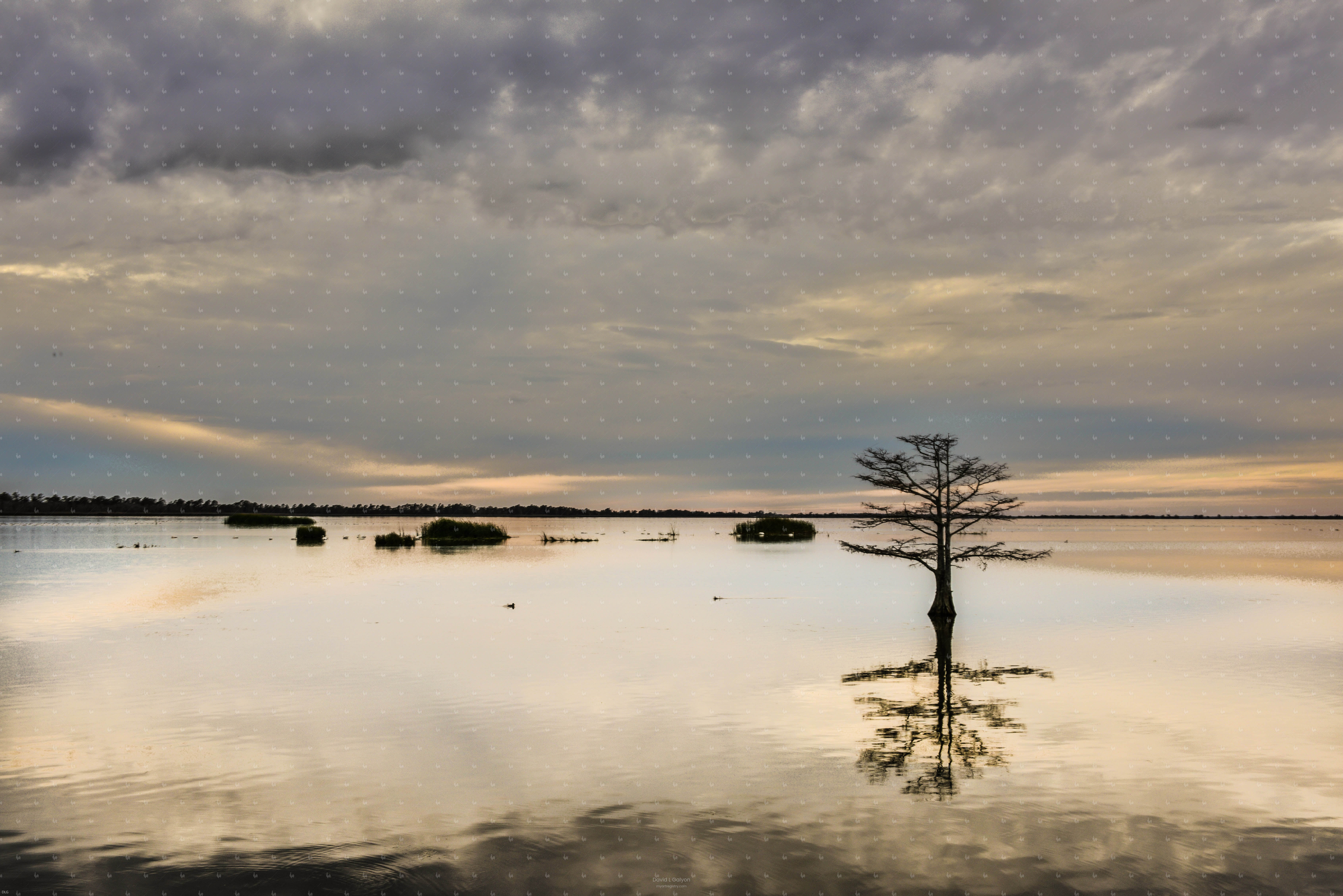 Mattamuskeet National Wildlife Refuge
