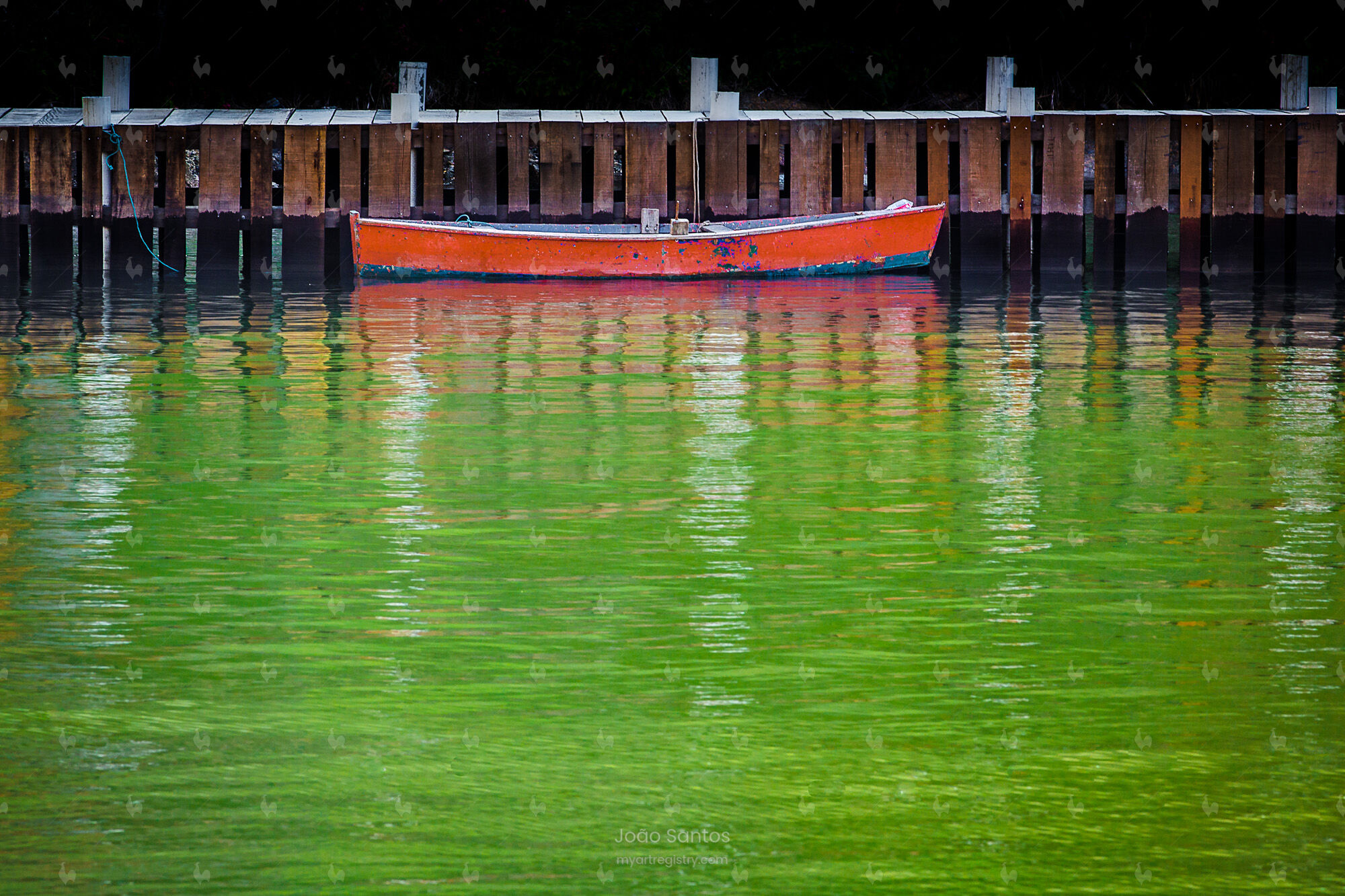 Green Season (Verde)