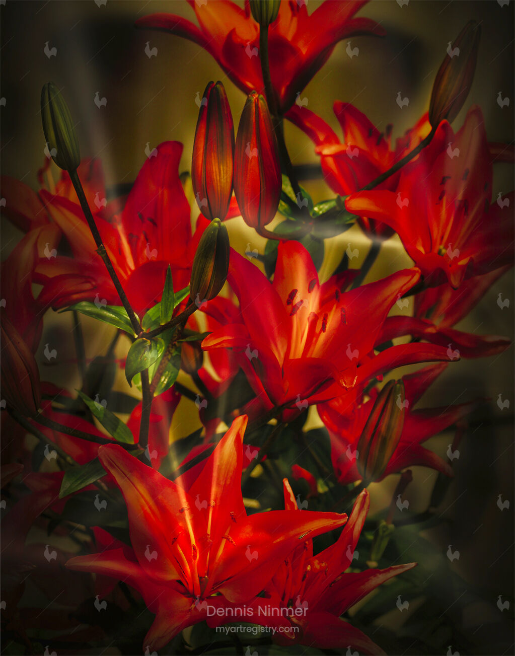 Radiant Daylilies