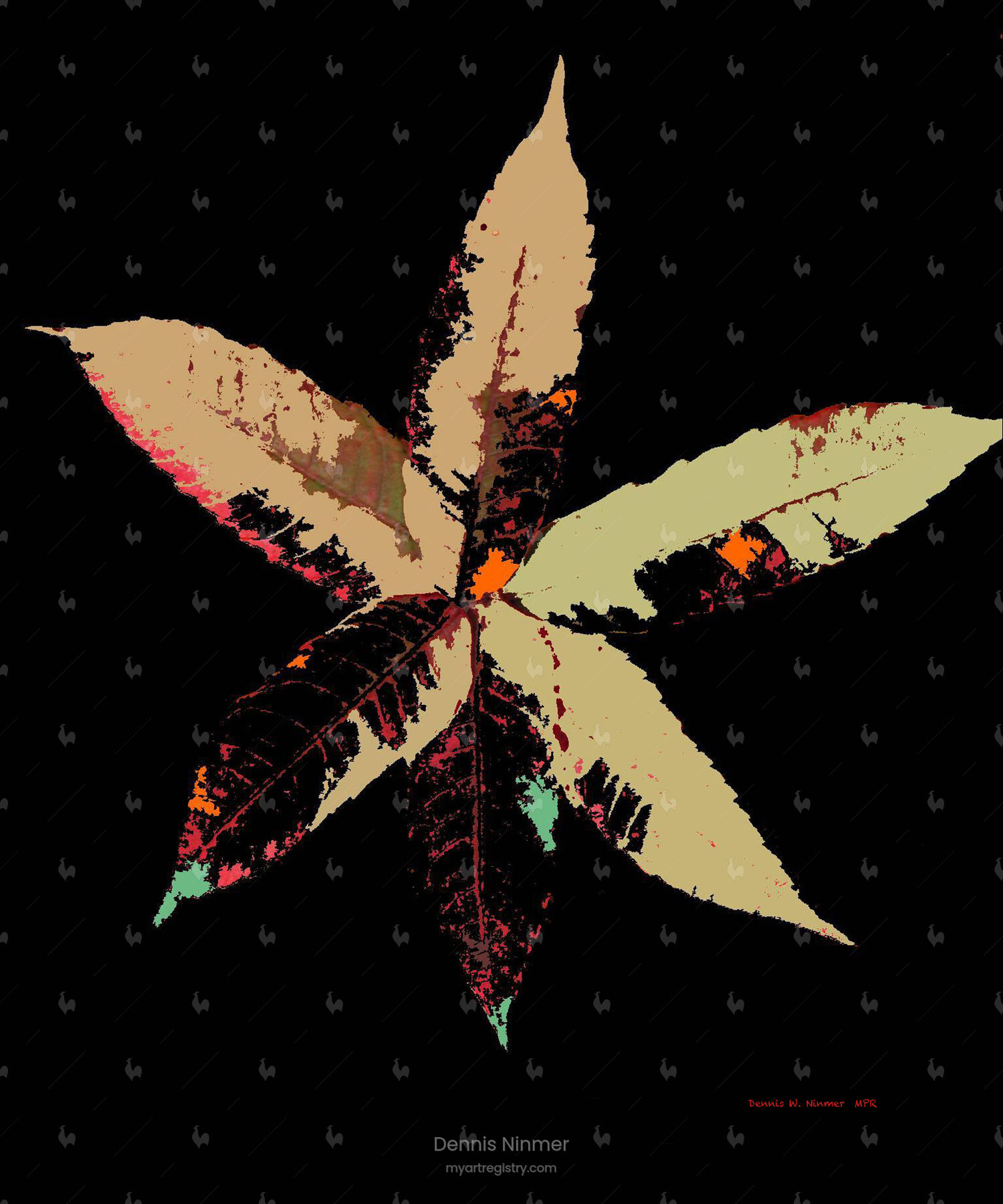 Natures Star (SOLD)