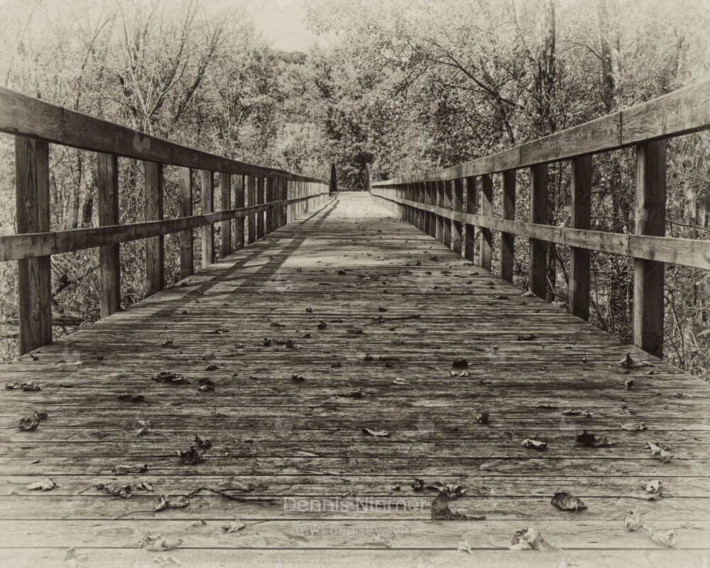 Down The Beaten Path ORIGINAL (SOLD)