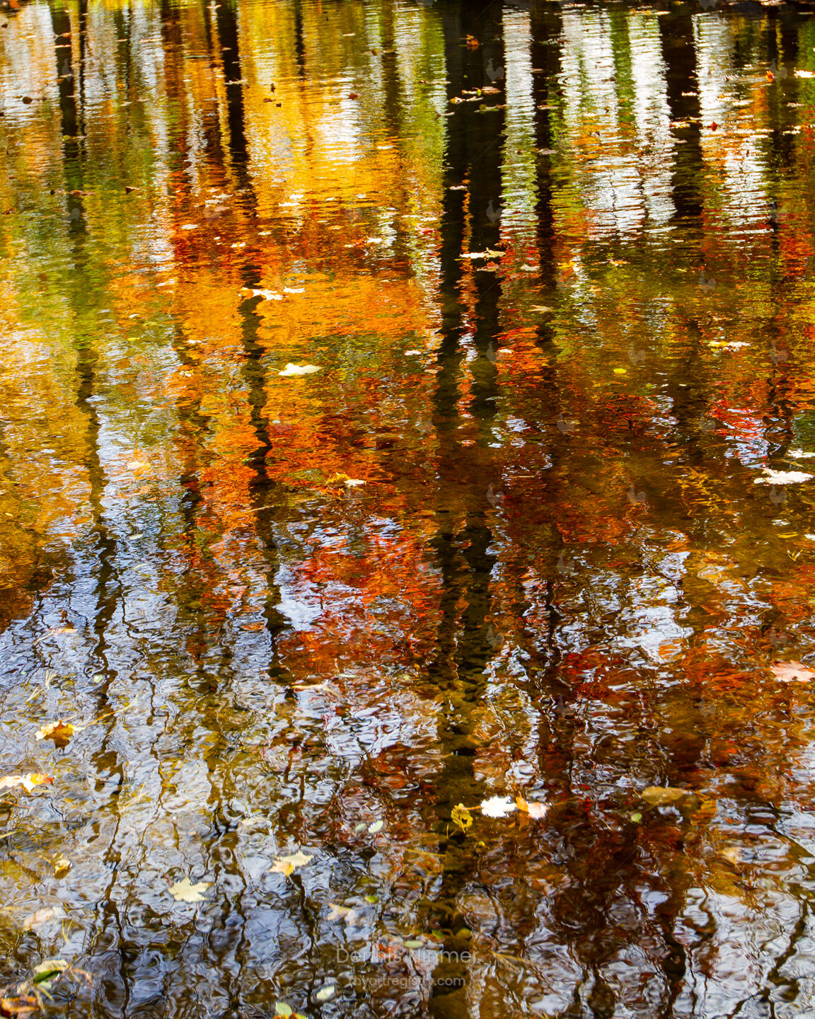 Fall Water Abstract #1