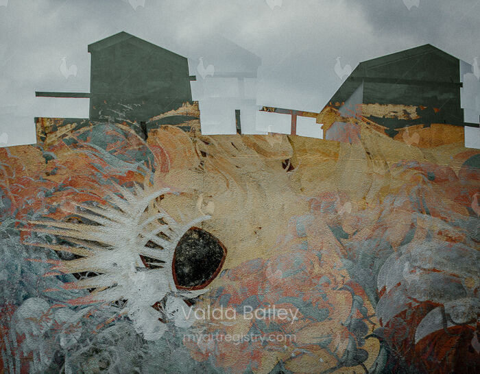 Beach Huts and Graffiti (ii)