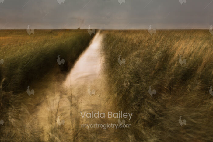 Fields of Gold