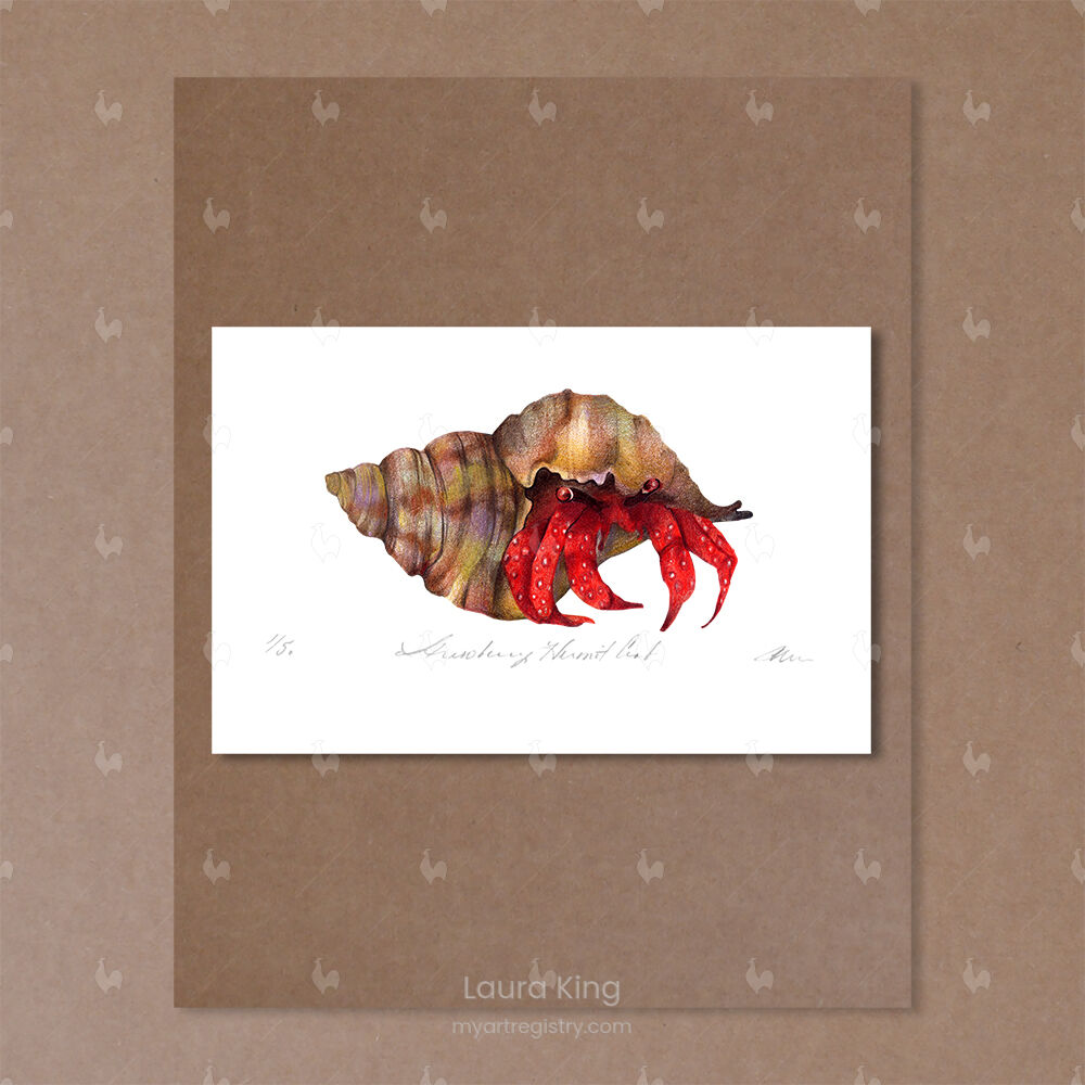 Strawberry Hermit Crab, Coenobita prelates