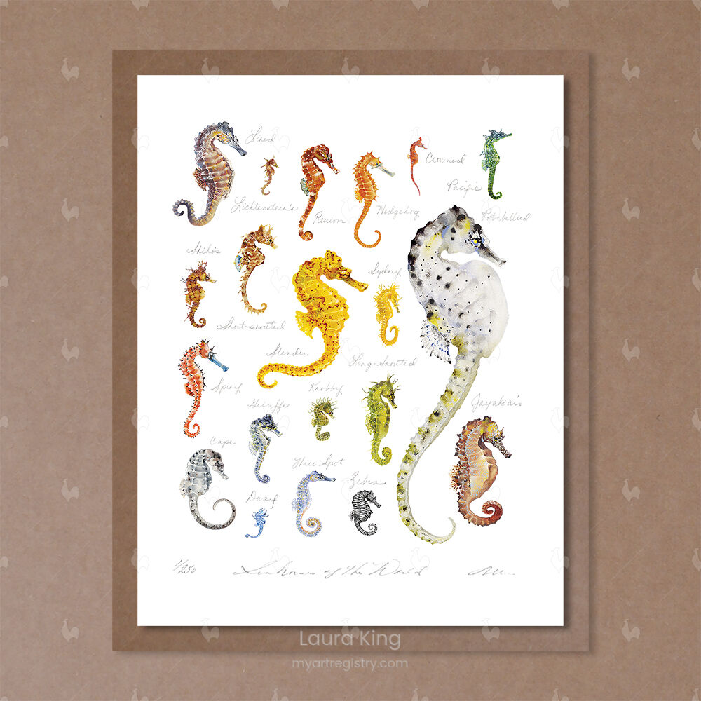 Seahorses of the World