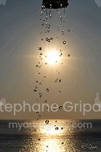 Sunshine Shower