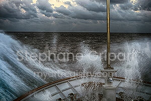 "Swell"