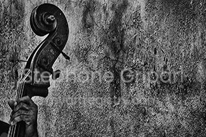 "The Double Bass Player's Hand"