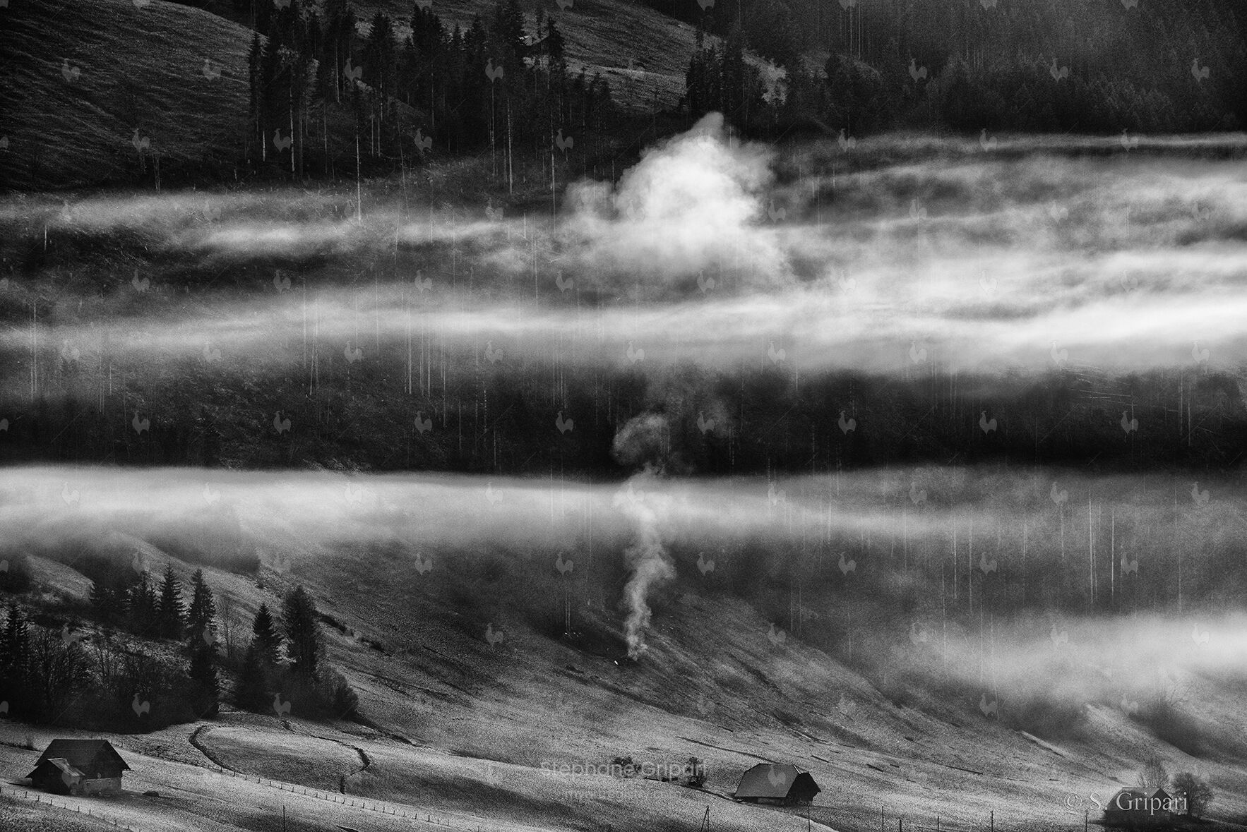 "Smoke"