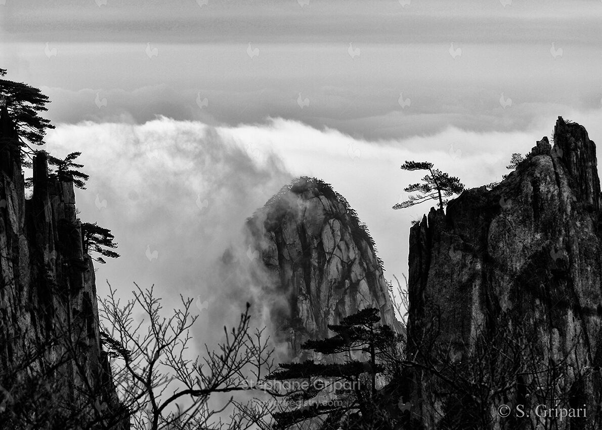 "Yellow Mountain"
