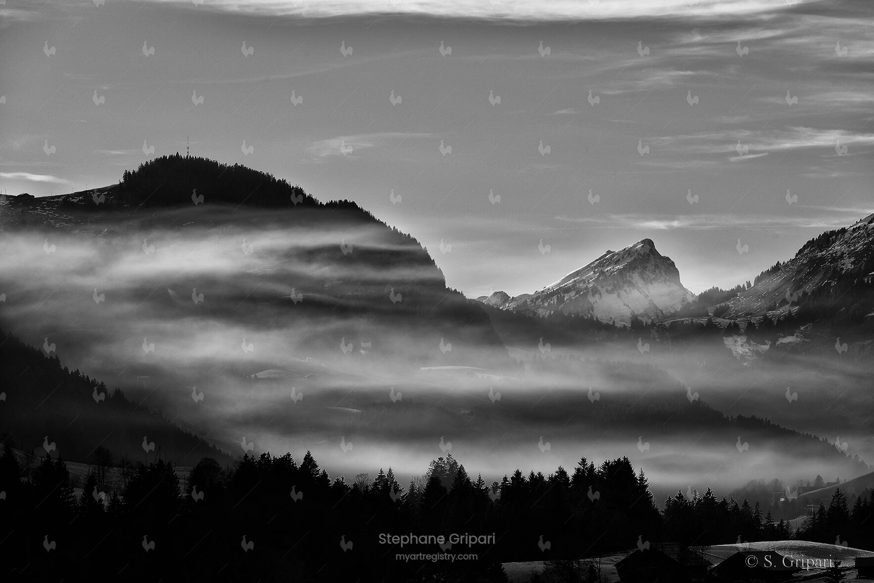 "Morning Fog"