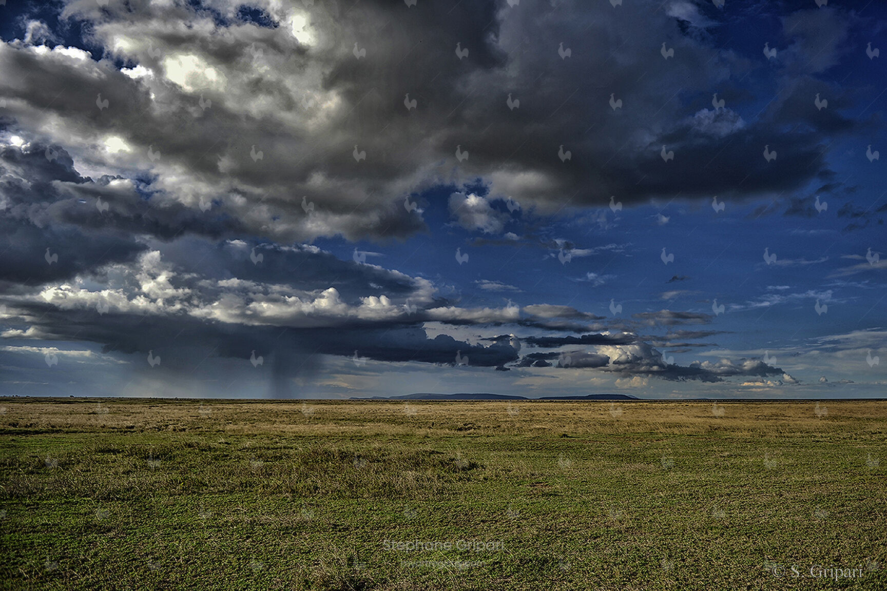 "African Rain"