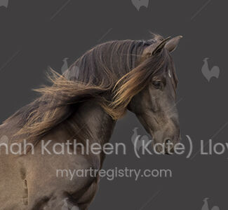 Pearl Horse