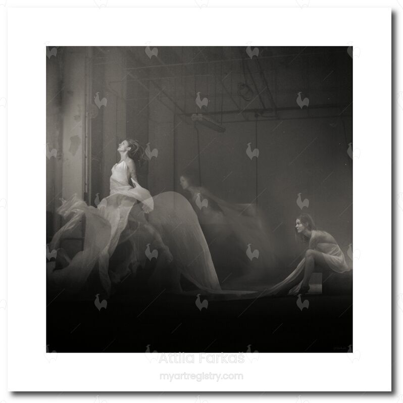 Metamorphosis K (F)