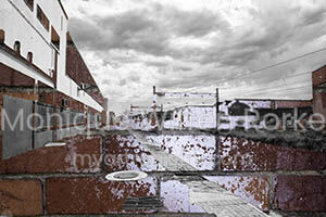 "Swartkops Street"