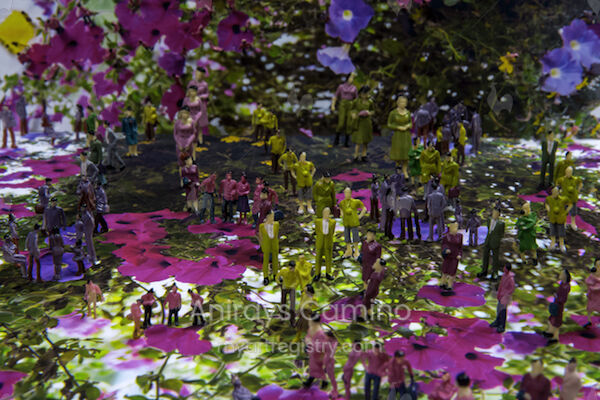 Botanical Journey