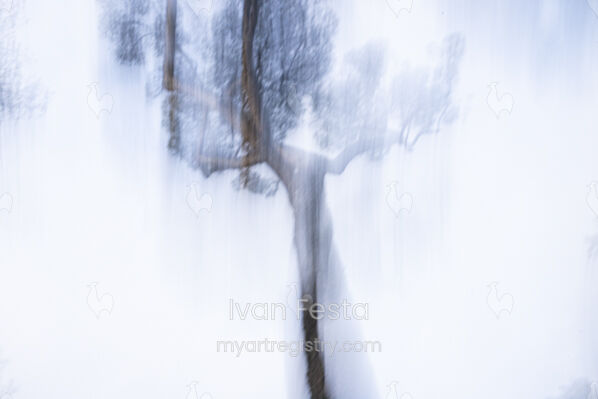 Unsolved ° Remurdered Series