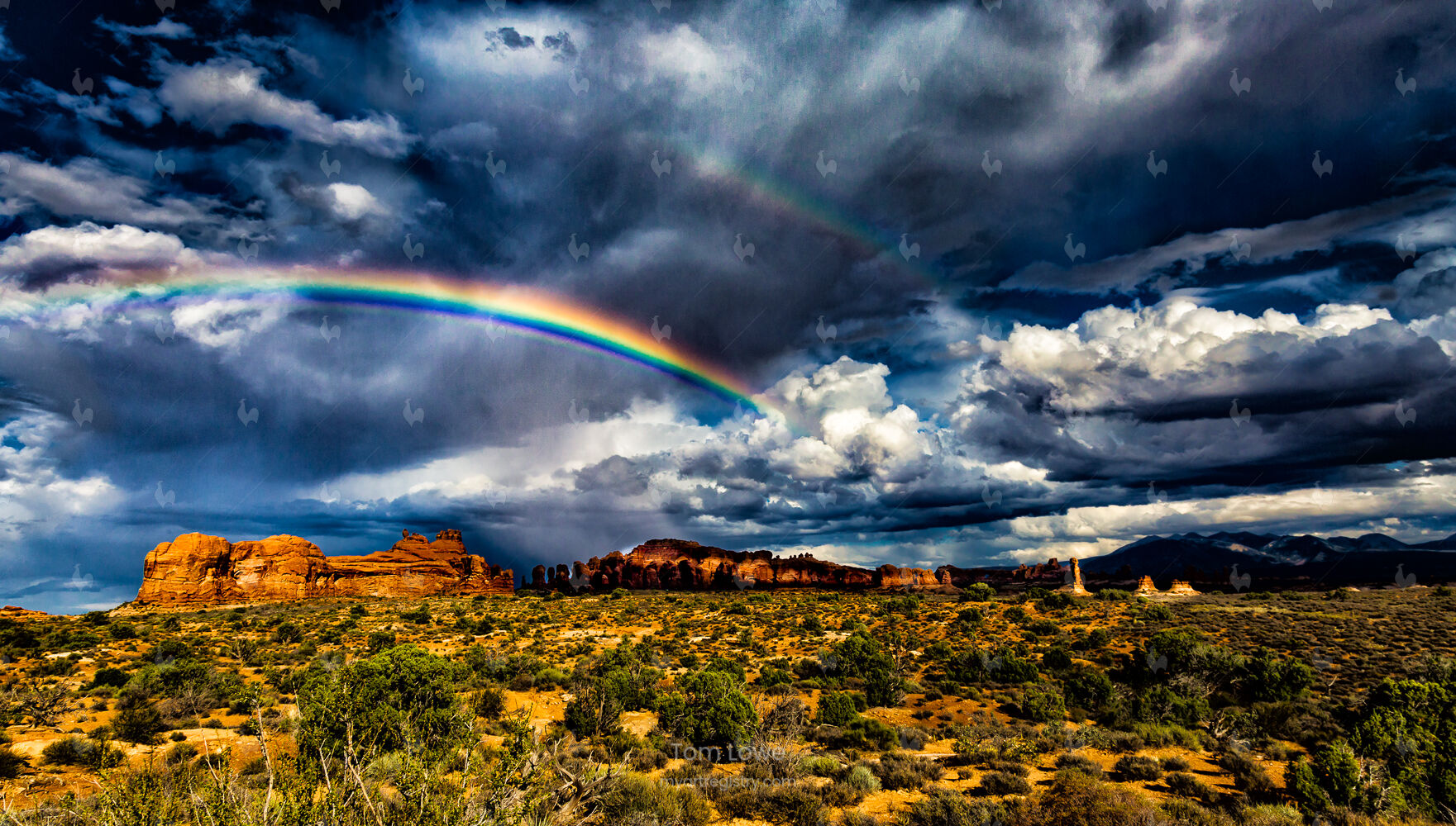 Windows Road Double Rainbow
