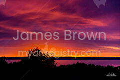 Fierce Dawn