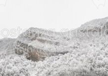 CHASSE-NEIGE