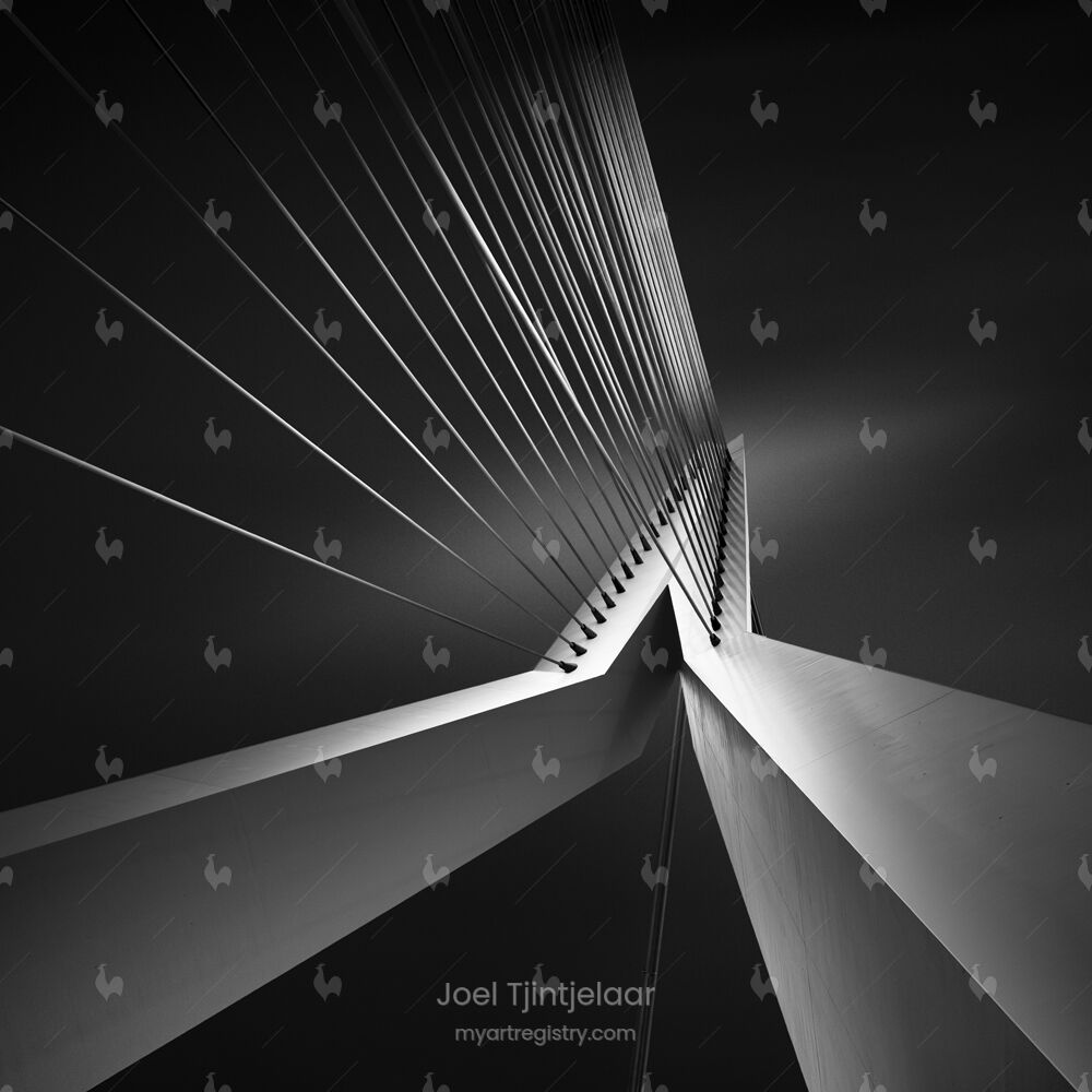 Shape of Light - Erasmus Bridge