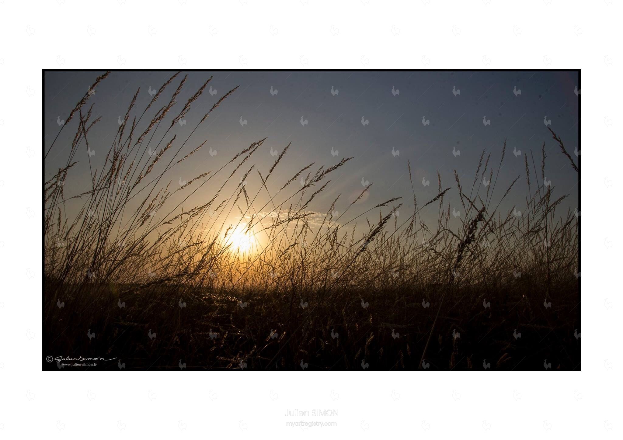 Always the sun