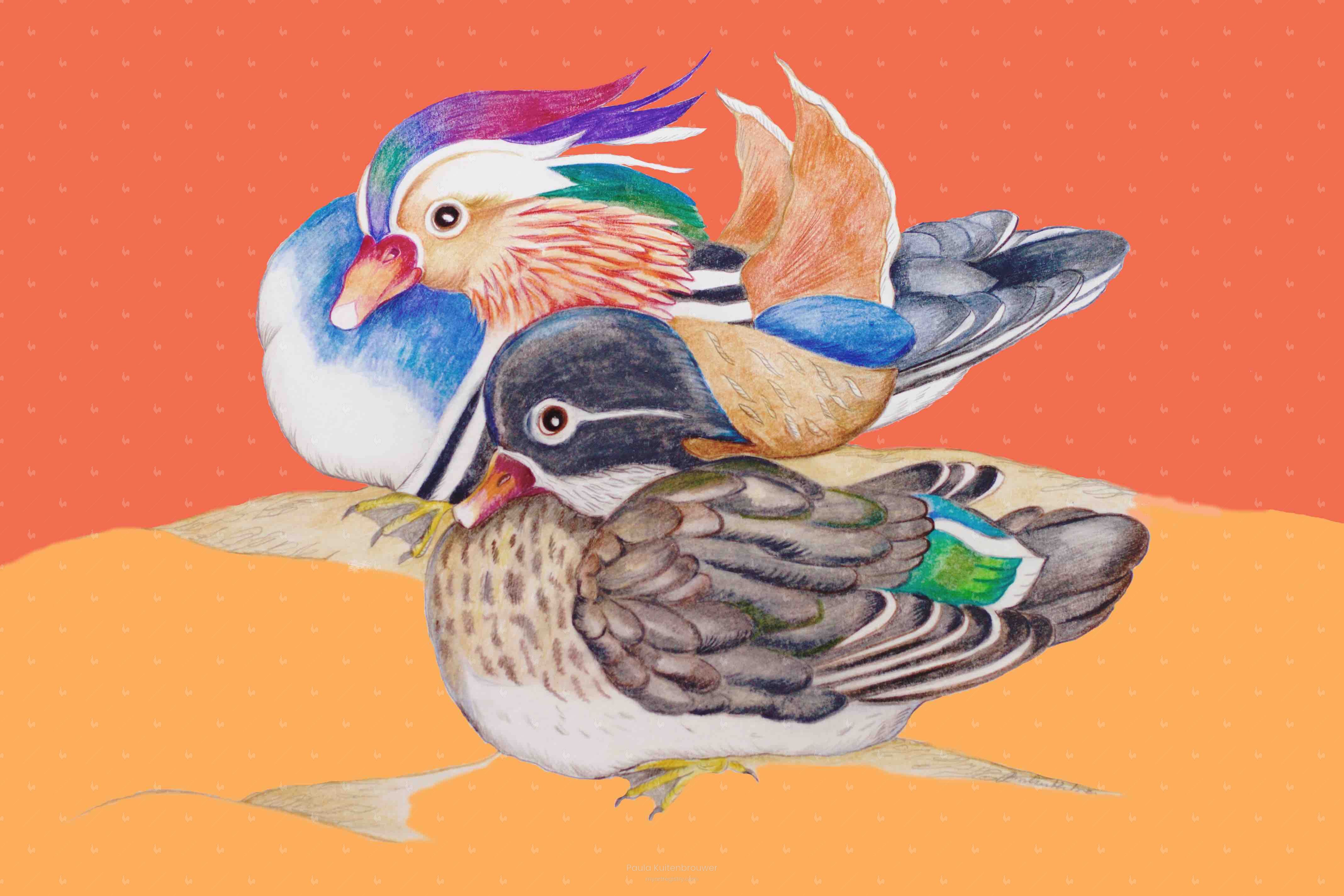 Mandarin Ducks 6 out of 10 Limited Editions