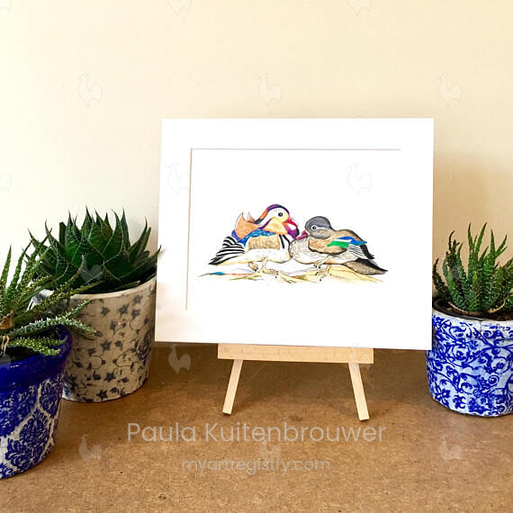 Original Mandarin Duck Drawing