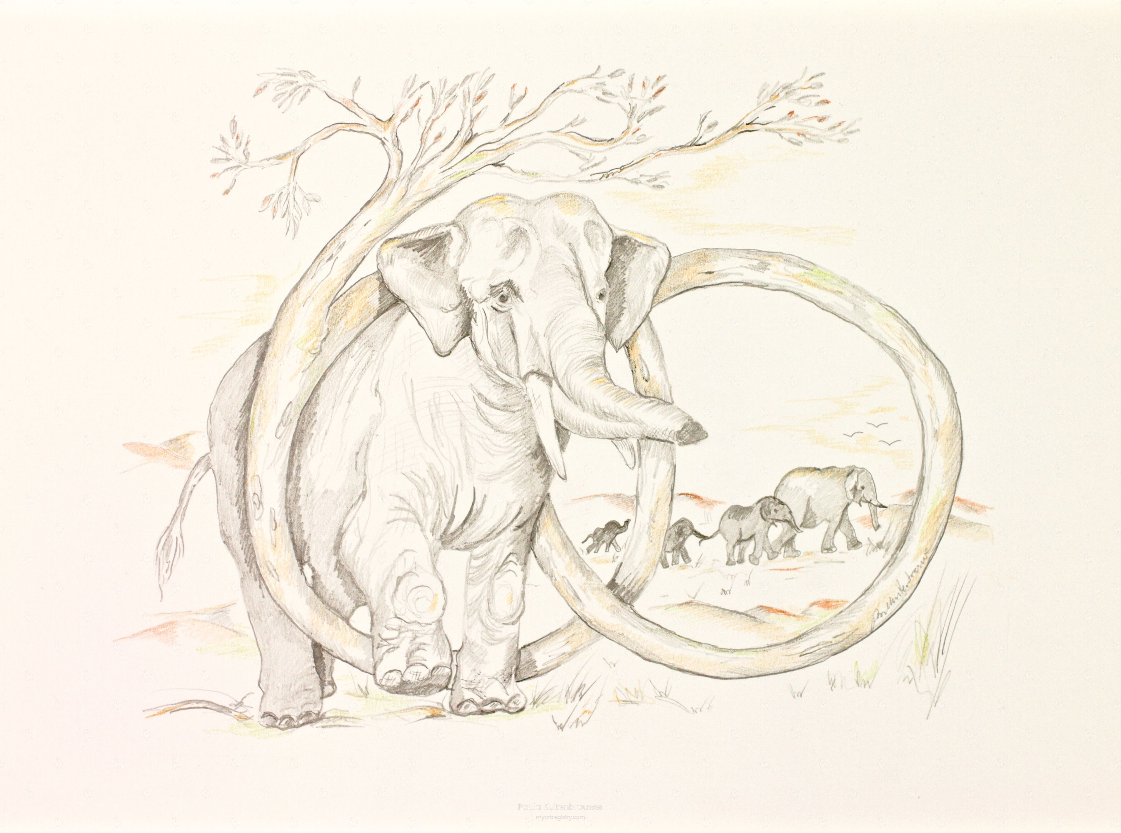 60th Birthday with Asian Elephants 