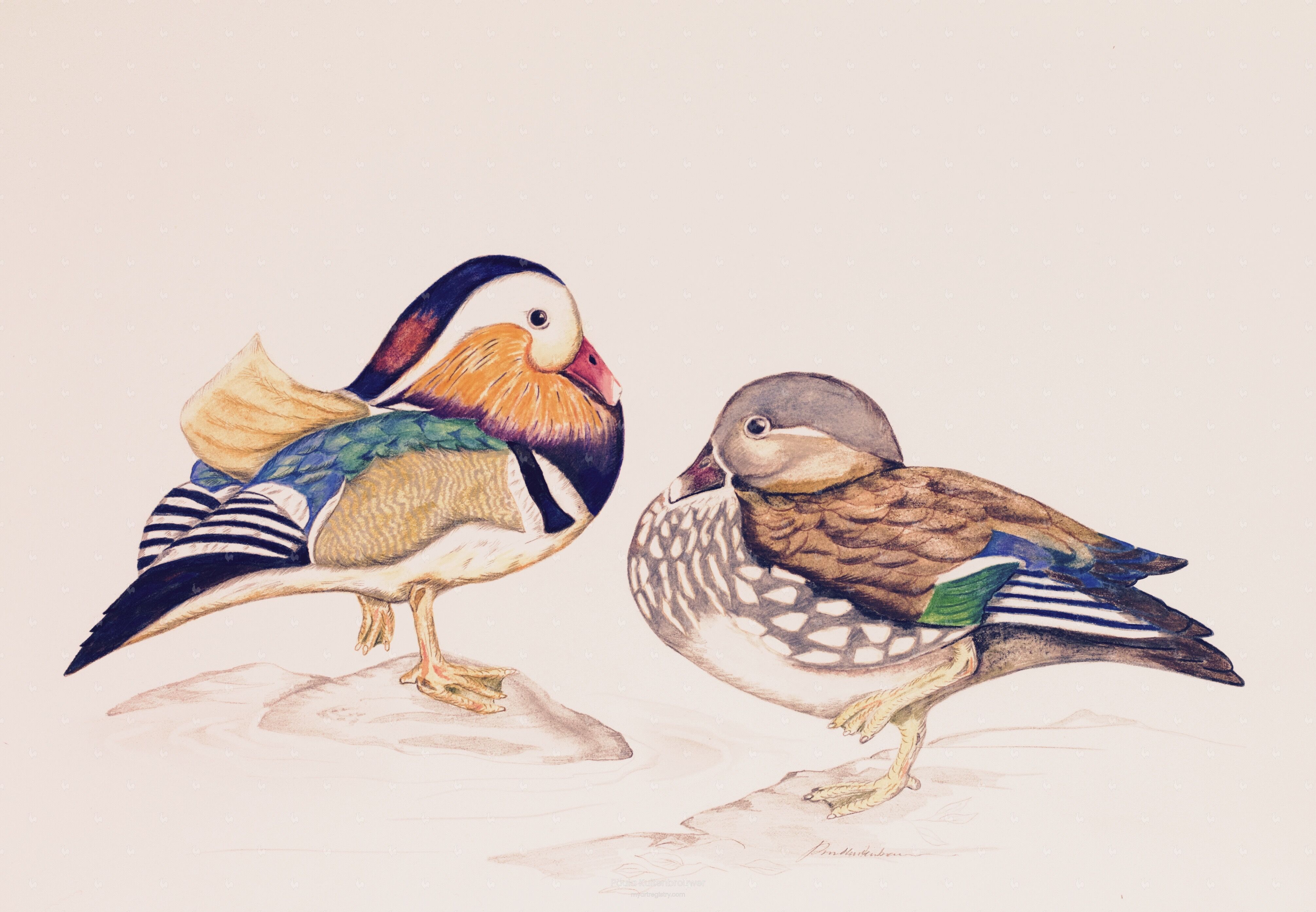 Mandarin Ducks Limited Edition 3 out of 10