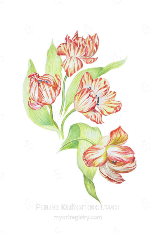 Four Tulips (2 out of 10 Limited Editions)