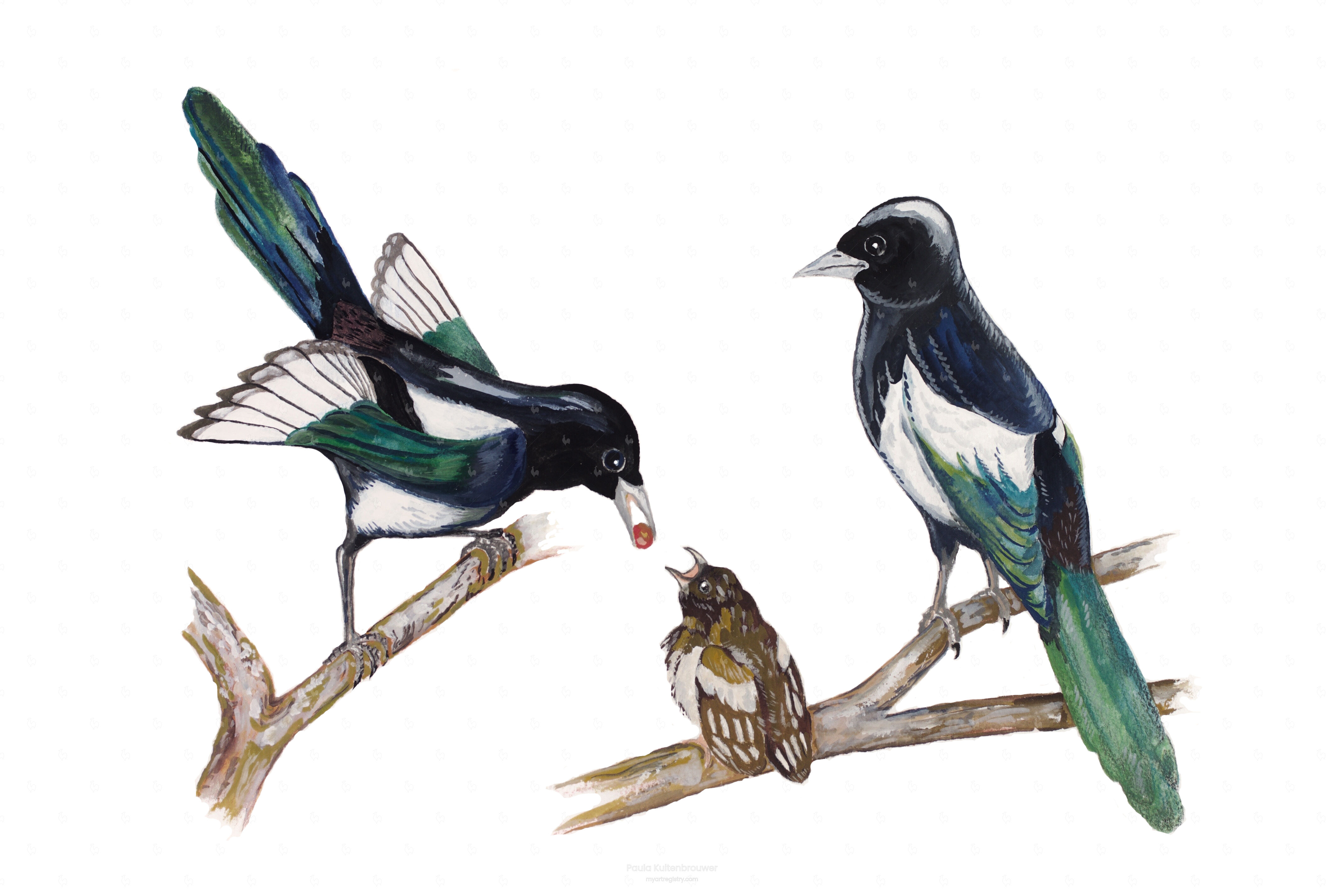 Magpie Family (Limited Edition 2 out of 10)