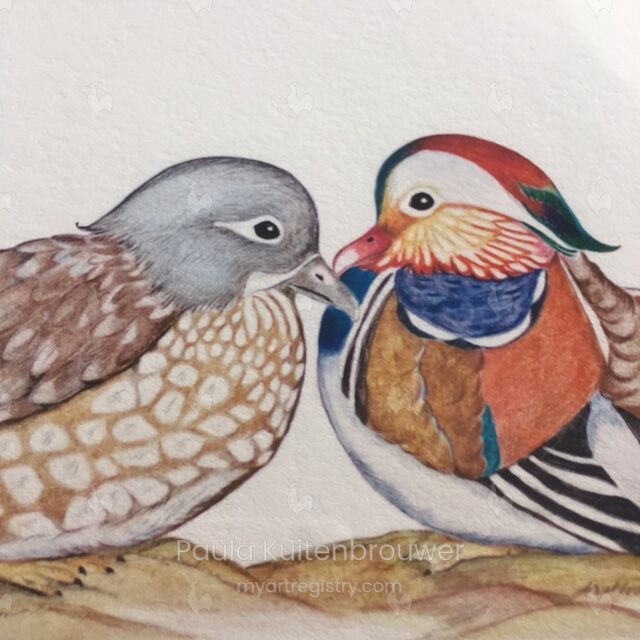 Mandarin Ducks