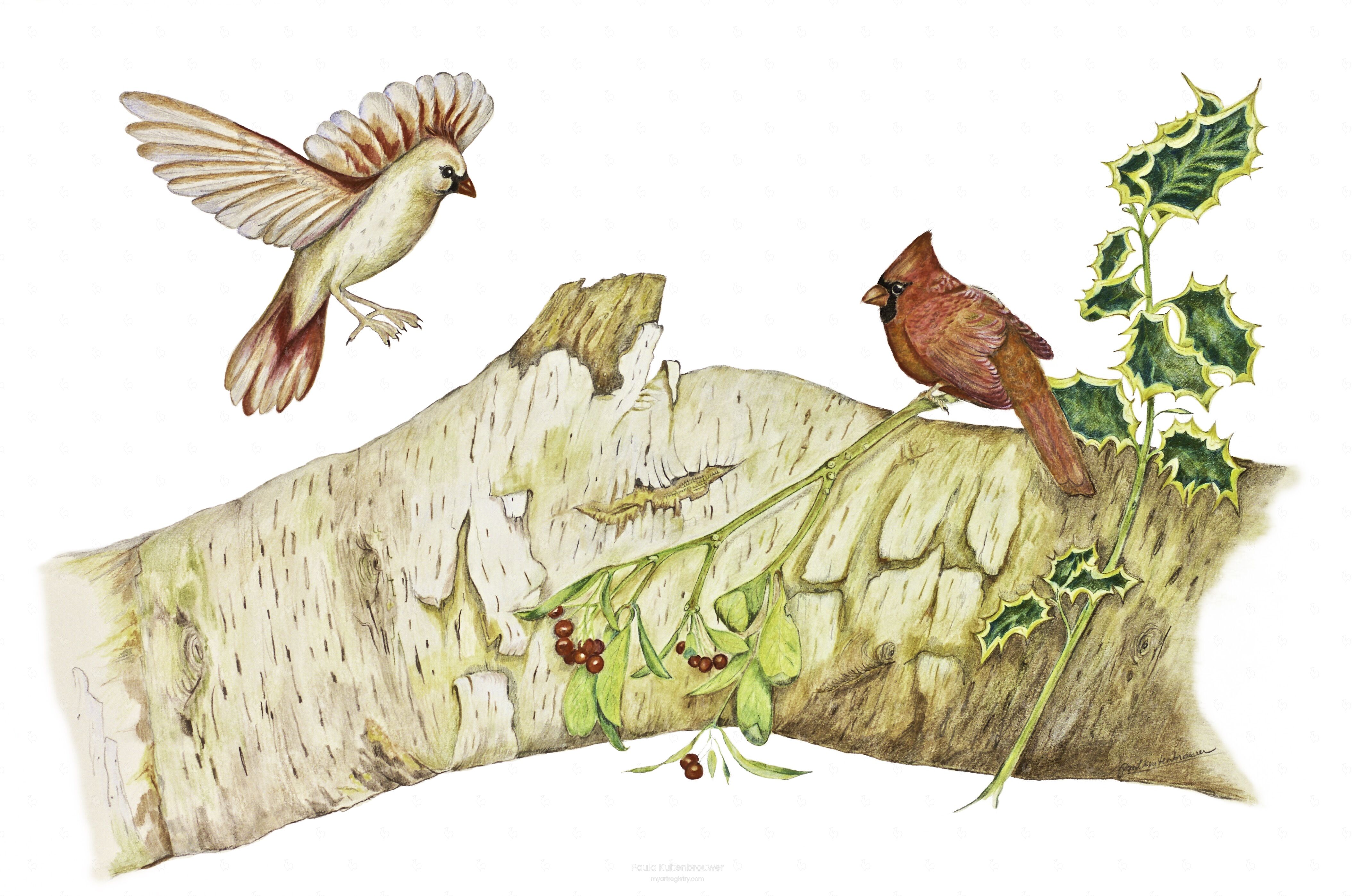 Cardinal Birds on Silver Birch Wood Block